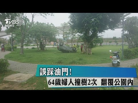 誤踩油門！　64歲婦人撞樹2次　翻覆公園內