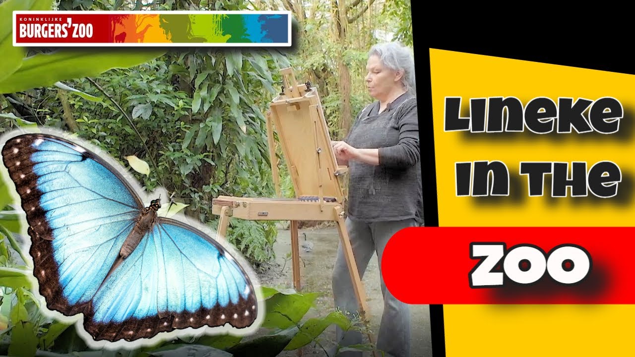How to draw Wildlife at the Zoo - Part 2 Blue Morpho butterfly
