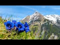 Beautiful Relaxing Music, Peaceful  Soothing  Instrumental Piano Music, "Austria Alps" By Tim Janis