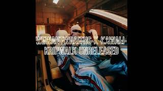 WEWANTWRAITHS X KAWALI - KRIPWALK - UNRELEASED - 3 Hours