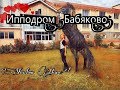 Ипподром &quot;Бабяково&quot; или &quot;Воронежский ипподром&quot;