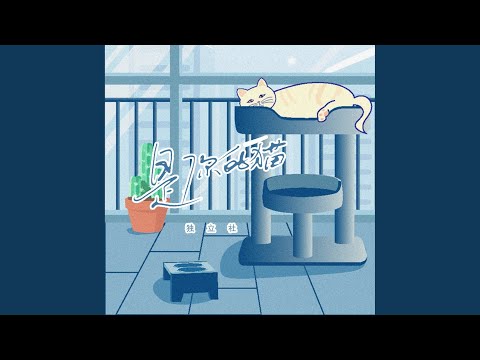 是你的猫