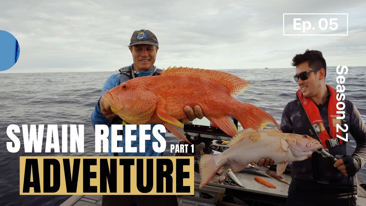 Swain Reefs Adventure Part 1 - Big Coral Trout