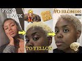 BLEACHING my natural hair! Watch me destroy my hair follicles! | Sarah Irungu