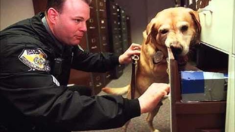 Zurcher v Stanford Movie by Lynde Metzler