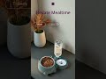 Elevate Mealtime