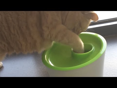 Catit Multi Feeder - compilation