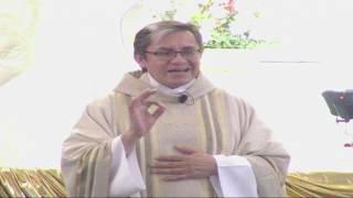 St  Mark     05072017 230 PM Misa Espanol Evangelio Homilia   2017 05 07 14 49 08