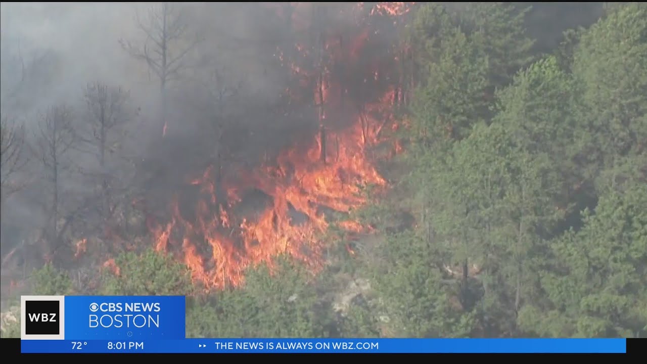 Brush fire ripping through Lynn Woods, hazardous conditions expected ...