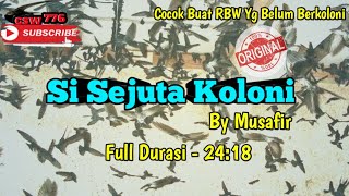 INAP SEJUTA KOLONI By Musafir - Suara Inap WALET Bikin RBW cepat Berkoloni