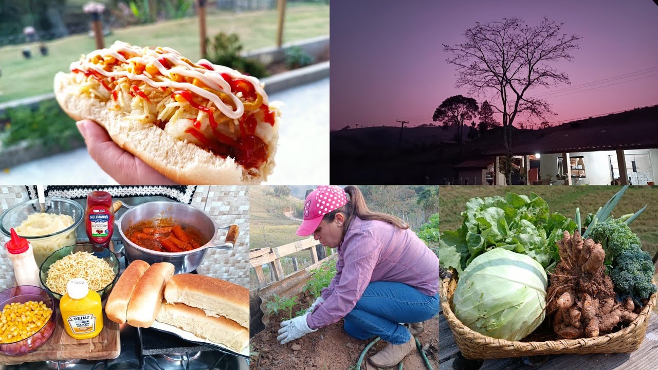 NO CLAREAR DO DIA FUI CUIDAR DA HORTA/HOT DOG CASEIRO COM PÃO CASEIRO E TUDO/COLHI AÇAFRÃO E MAIS.