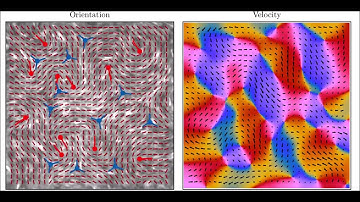 Data-driven quantitative modeling of bacterial active nematics