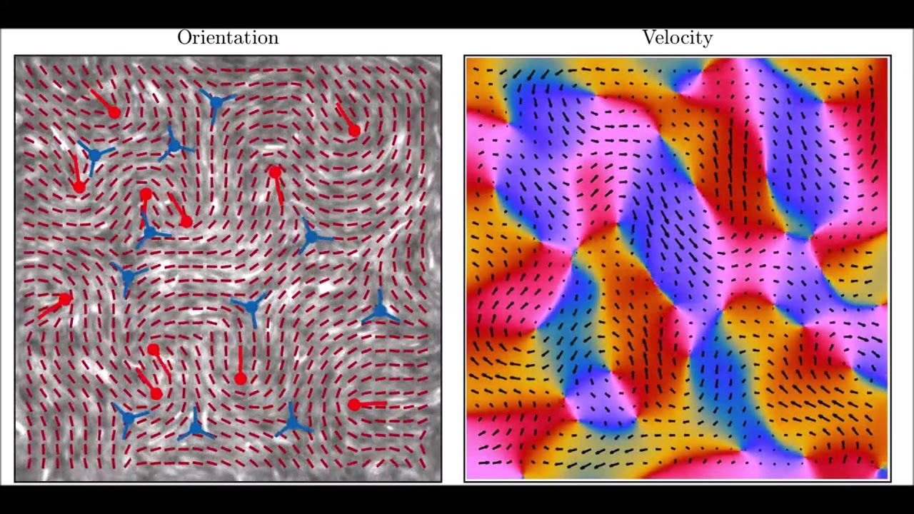 Data-driven quantitative modeling of bacterial active nematics