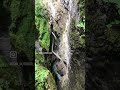 Back to the roots #camping #outdoor #outdoors #offgrid #nature #naturephotography  #wandern #bayern