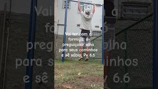 Vai ter com a formiga#shorts