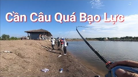 TRAILER Giải Câu Lure Cá Chẽm Với Gần 100 Cần Thủ Tại Vũng Tàu Fishing seabass | Cha Già Vlogs