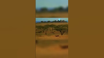 My First Video #trollface #troll #shorts #trending #fyp #trolls #trollfaceedit