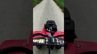 Pubert Vario