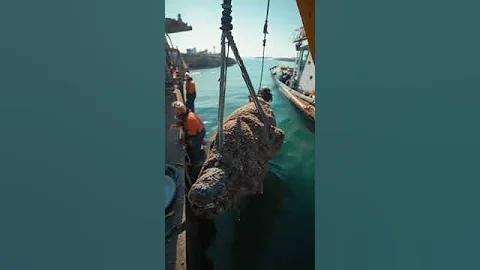 Satisfying Barnacle Removal – Whale Rescue in Action! 😲🐳