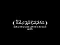 كروما شاشة سوداء قرآن كريم تلاوة من سورة يوسف القارئ عمر ضياء الدين 