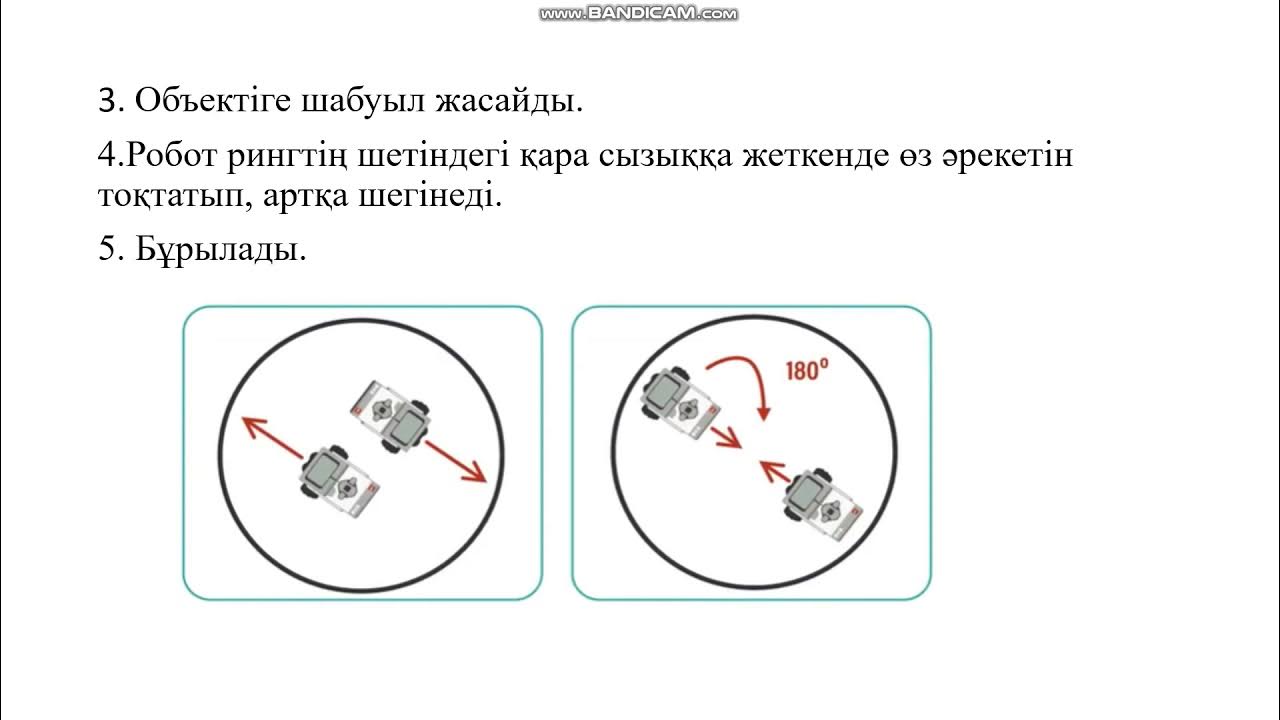 Робо сумо 5 сынып информатика. Робо сумо 5 сынып информатика