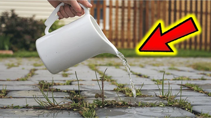 Destroy Weeds in Seconds with Just ONE Drop!