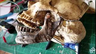 Skull Servo Test