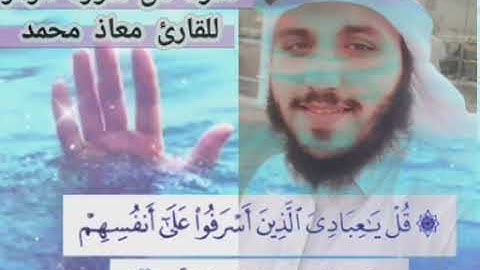 تلاوه ما تيسر من سوره الزمر .. القارئ معاذ محمد