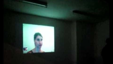 Anna Bromley "Biennalists, Speech Acts..." (documentation clip)