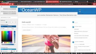 How to Customize Header - OceanWP