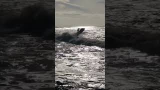 20 foot waves in Ventura, California 🌊 #venturacalifornia