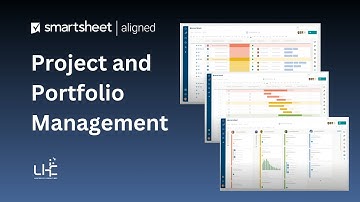 How to Run Effective Project Portfolio Management  | Lighthouse Consultings