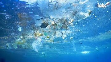 "Sustainability Is..."