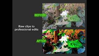 Raw clips after colour grading and text animation + vo | SEVEX edits 🔥