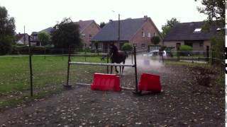 Freejumping Dangeline