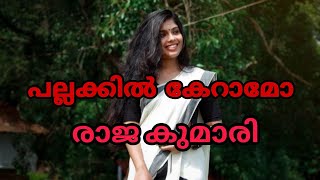 Pallakkil Keraamo | Pallakkil Keraamo Rajakumari | Malayalam Album Songs | പല്ലക്കിൽ കേറാമോ