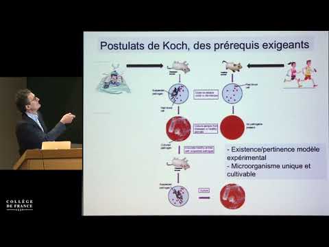 Symbiose, antibiose, eubiose, dysbiose : quand les bactéries osent… (10) - P. Sansonetti (2017-2018)