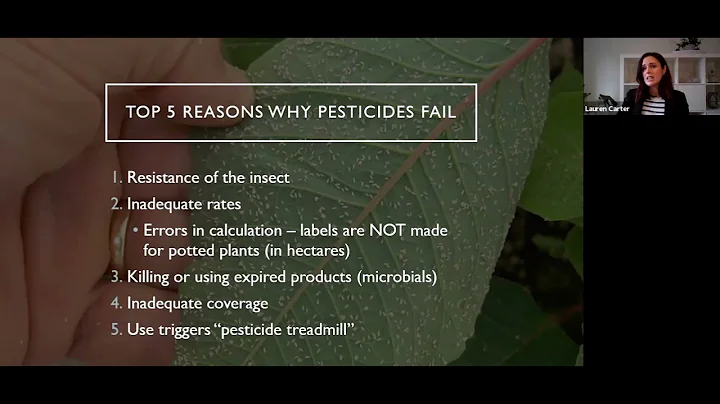 Greenhouse IPM 101, Vol. 4:  Where Pesticides Fit In