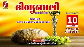 HOLY MASS|LATIN MASS|10 MAR 2026 |FR MONCY CARLOSE  |MALAYALAM QURBANA|TODAY MASS|GOODNESS TV screenshot 1