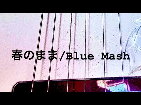 春のまま/Blue Mash コピー リードギター