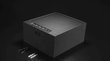 RPNB Multifunction Pistol Safe(RP2004)