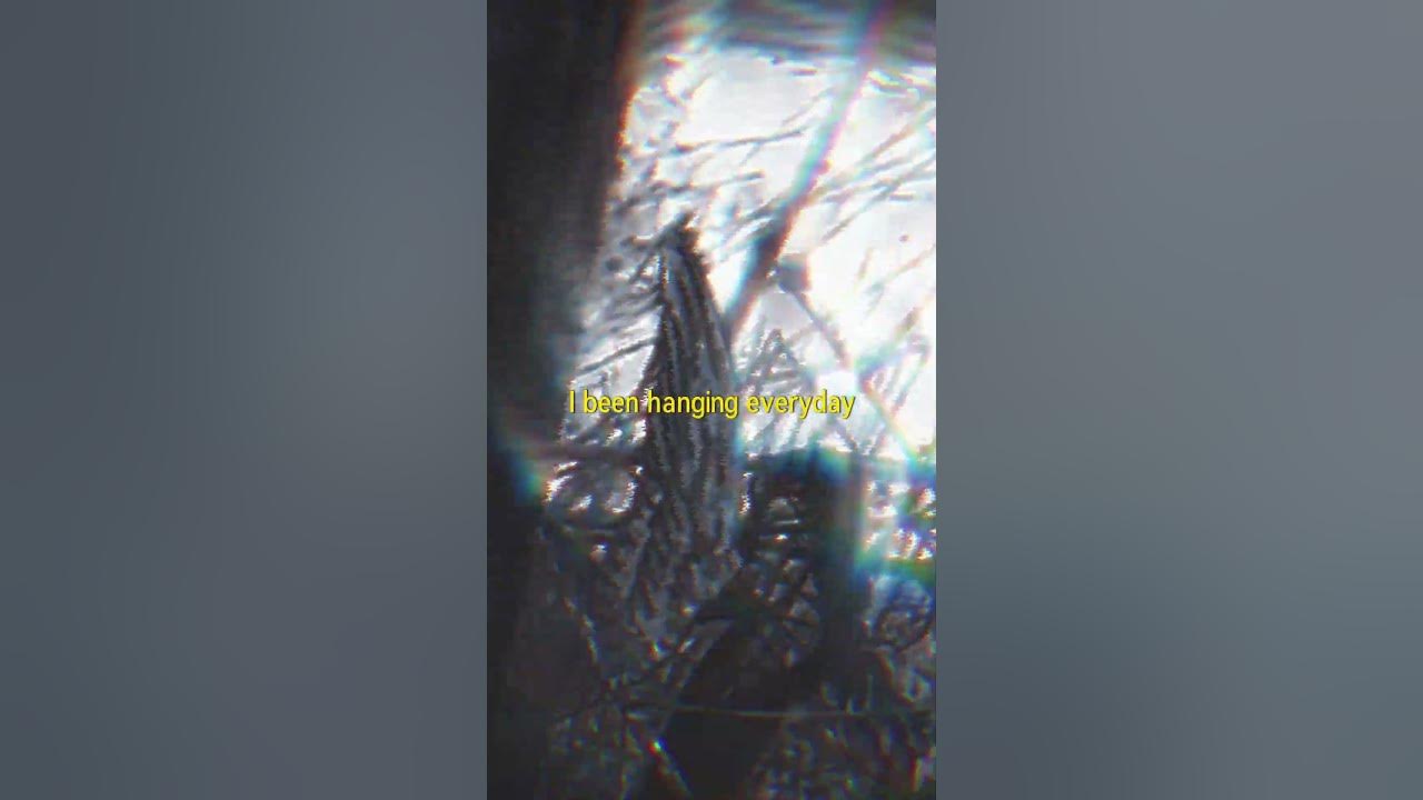 $uicideboy$ - Antarctica $uicideboy$ - Antarctica
