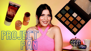Finally A Project Pan Update! | Massive Progress | Shreya Jain