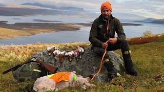 Caccia in Lapponia | Alex e Thor | Club Scandinavia