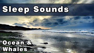 Whale Sounds & Ocean Waves | Soothing Sleep Sounds | White Noise Sound | Peaceful Whale Song