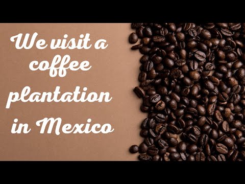 Oaxaca Coffee plantation in Pluma Hidalgo. Mexico coffee