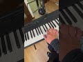 PRINCESS PRINCESS BIRD'S EYE VIEWのイントロのキーボードを弾いたよー #プリンセスプリンセス