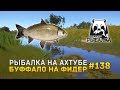 Рыбалка на Ахтубе. Буффало на фидер - Русская Рыбалка 4 #138