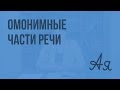 Омонимичные части речи. Видеоурок по русскому языку 9 класс