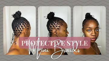 Mini Braids | Natural Hair Protective Style